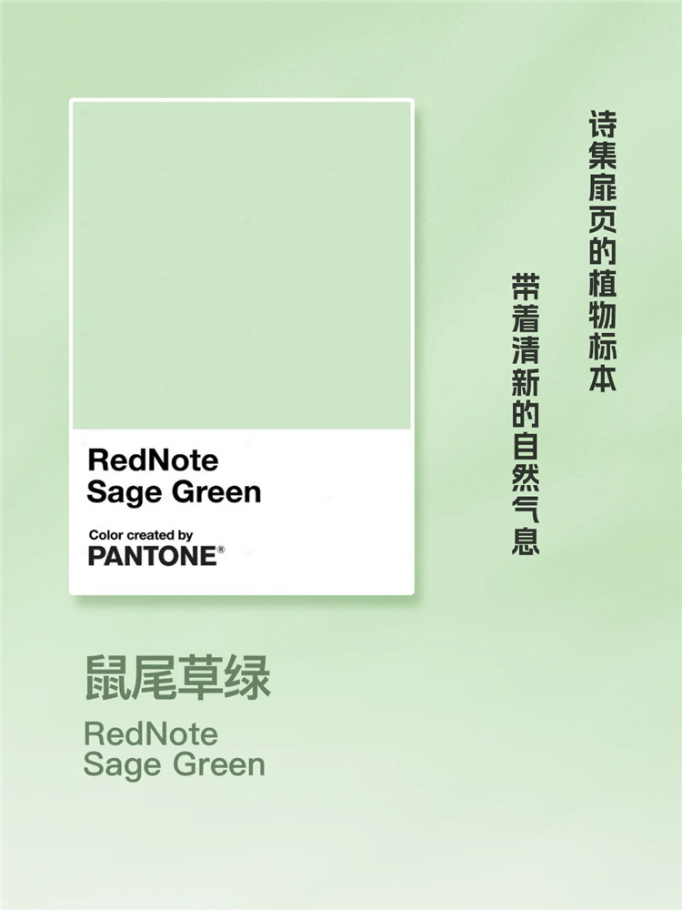 家居配色,武漢裝修,武漢裝修設計